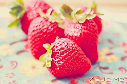 ����ֻ���Ǻ�֪�������ȴ��������ֱǰ (3)