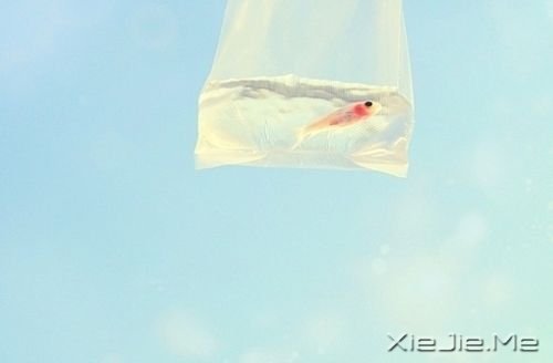 ����ֻ���Ǻ�֪�������ȴ��������ֱǰ (8)