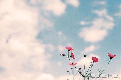 20�굽30��Ӧ��ѧ���5���� (2)