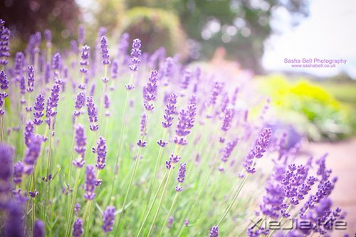 人生感悟:一位老人的九句话 (2)