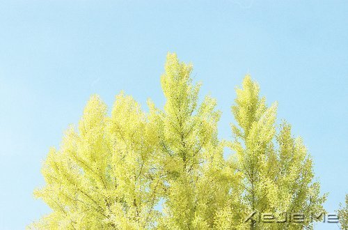 ��������һ�̣��������Ҳ���������