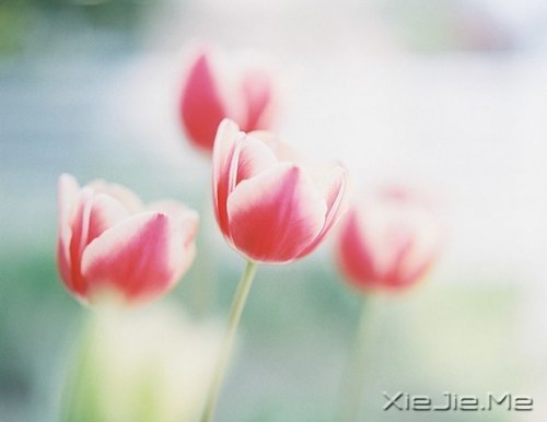 放下这十样东西,你会变得更加优秀 (2)