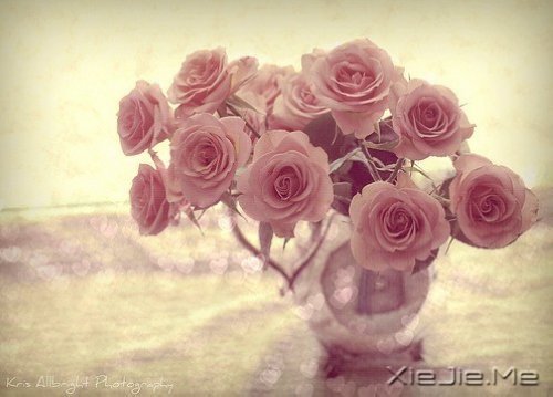 10首温暖的英文歌曲推荐 (8)