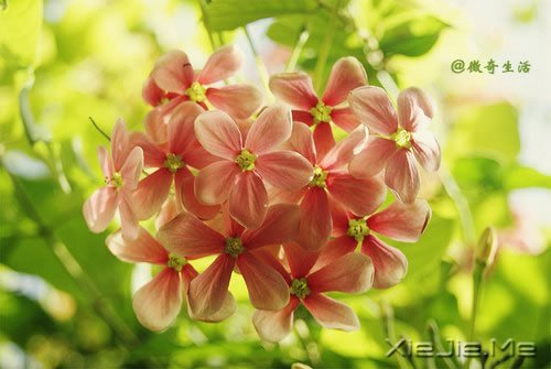 人生感悟:做人的7张底牌