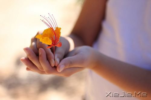 老是觉得自己不如别人怎么办?记住这14句话吧