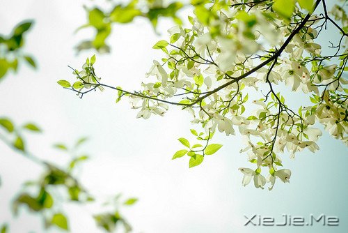 ���֣������������Ҫ��һ���� (1)