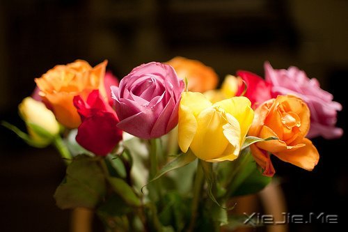 ������¼����ʲôҲ������������ (5)