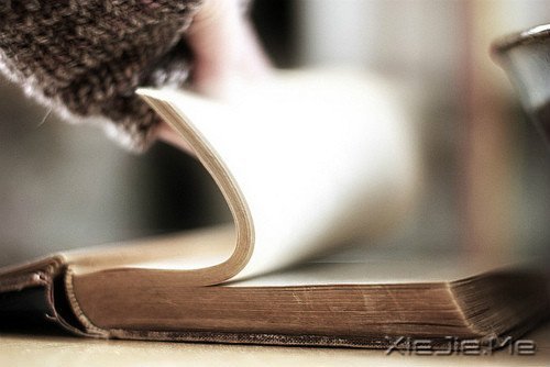 文字:青春,是一本太仓促的书 (4)