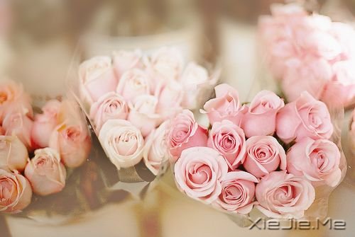 ���������ر���8ζ��ҩ (2)