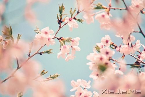 30句做人之道处事之理 (2)