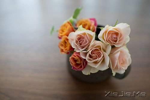 һ��Ů����д�Ļ����� (1)