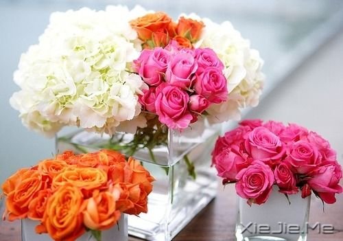 经典语录:20条经典人生感悟 (2)